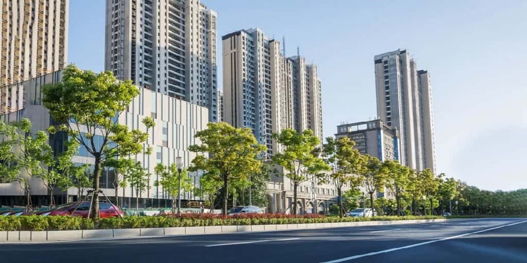 DLF Phase 6 — high-rise towers along a tree-lined road